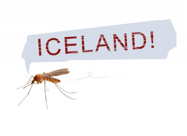 Iceland in New York tweet media