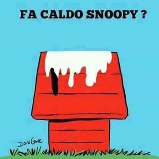 Meravigliosa!!!! 😂 😂 😂 ift.tt/2vzX6Ic