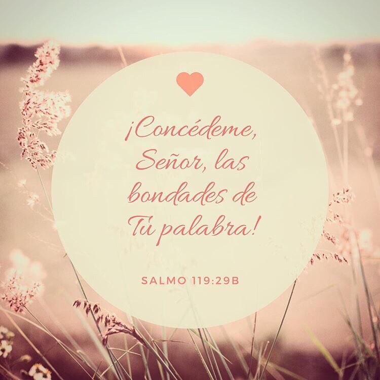pibadjuntas's tweet photo. https://t.co/mDmJk3m1Jh