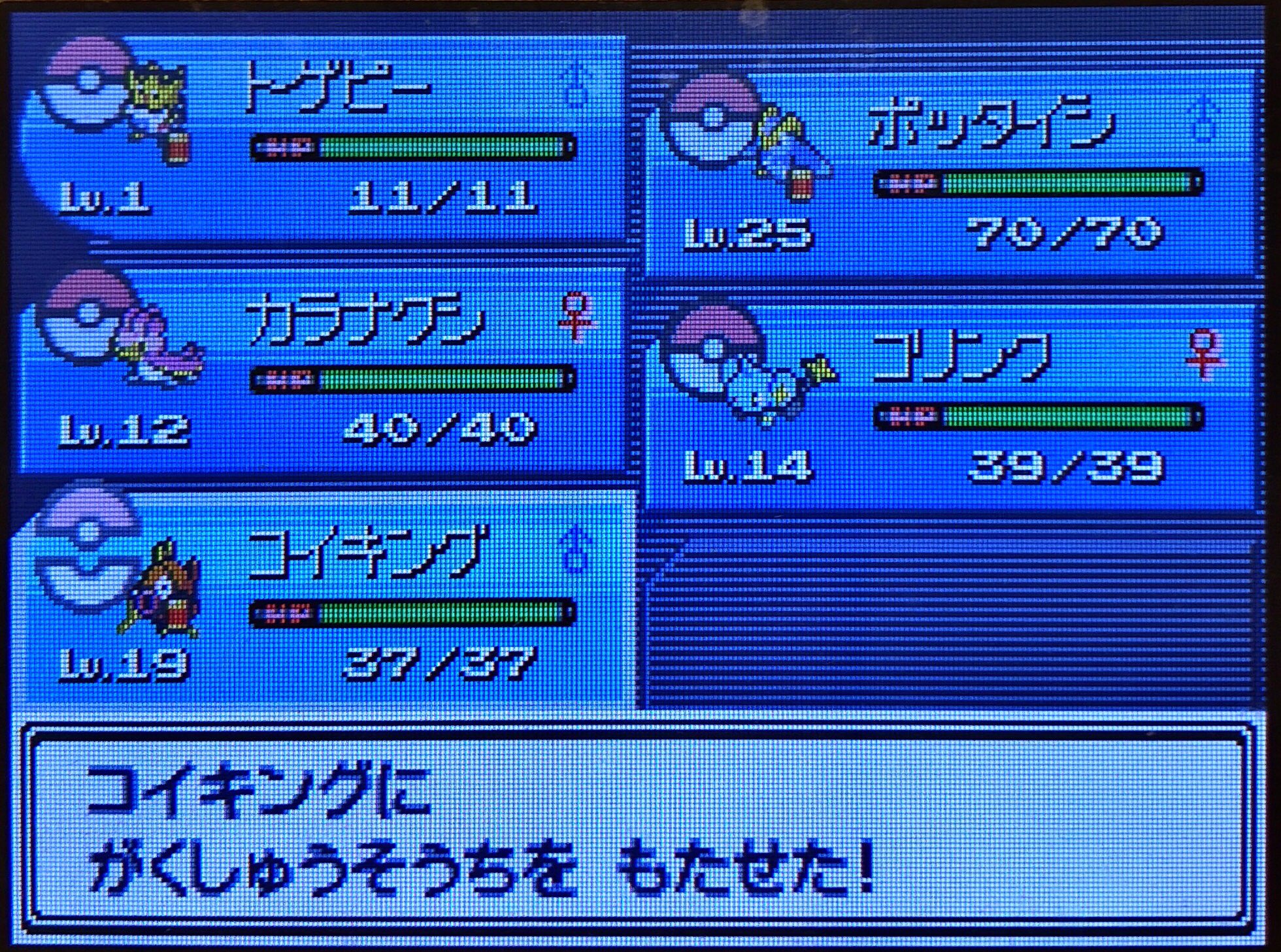تويتر スラヨシ アンテ ポケダン空ネタバレしないでね على تويتر ギャラドスに進化 7種類 まずはピカチュウ 銀 アルファサファイア プラチナ T Co Pvihny68vj