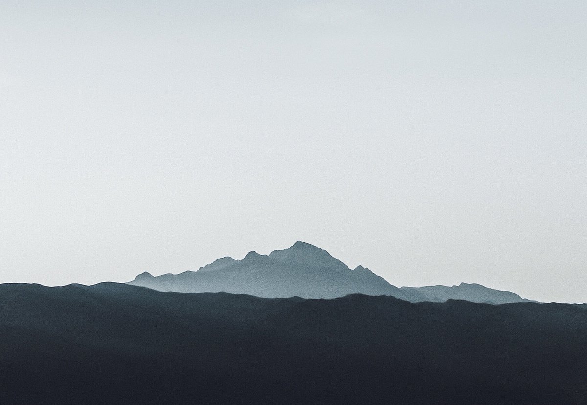 audalanche tweet media