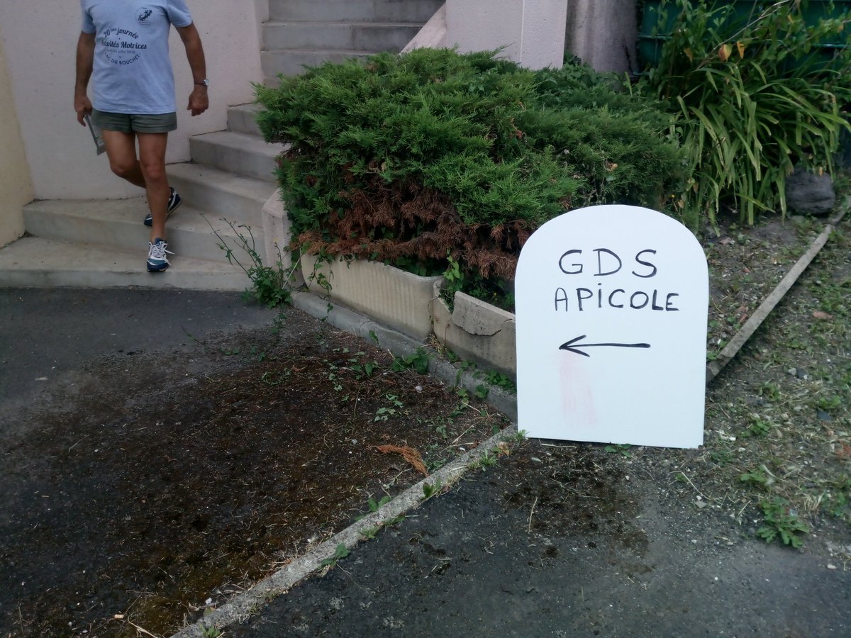 RuchesHtAllier's tweet photo. Distribution au #GDSA43 ;)
- ma commande de #VarroMed est arrivée,
- les bandes de détection d'#AethinaTumida aussi.
Au boulot ! https://t.co/wqyFg5Mu6M