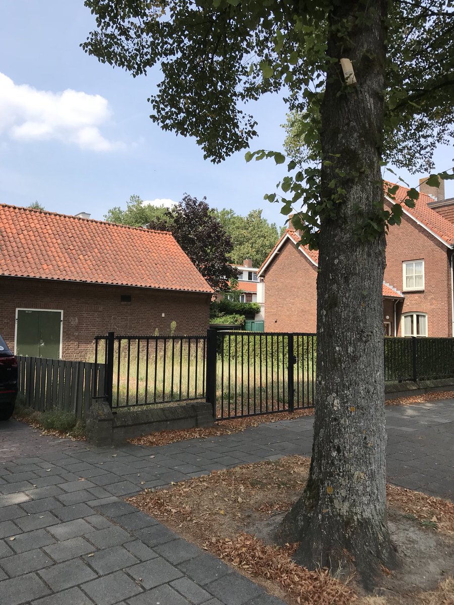 jaapkamp's tweet photo. Hier ook maar eens wat energie aan besteden @Enexis ?? Zevenbergen, Burg v Akenstraat. #aanfluiting #zogajenietmetjeomgevingom @EnexisGroep https://t.co/E2MjK5OYGI
