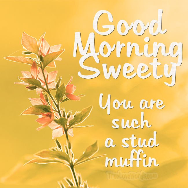 Good morning my stud muffin!
#truelovewords #love #dating #relationships #goodmorning
https://truelovewords.com/romantic-good-morning-messages-for-boyfriend/ …