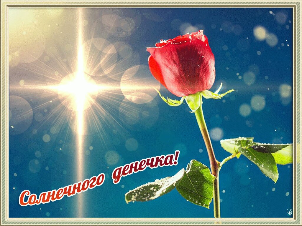 Открытки солнечного доброго дня