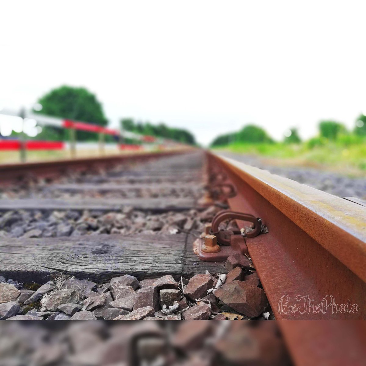 BeThePhotoNL's tweet photo. #Walking the #Rail
Camera: #Huawei #P20 #Lite
F: /1.4-3.2-7.1-*-2.2
S: 1/100-50-100-*-301
I: 80-50-80-64-50
#edited
#BeThePhoto #budel #budeldorplein #northbrabant #brabant #netherlands #nederland #railway #train #trein #spoor #lopend #lopen #walk #walkingtherail #nature #outside https://t.co/ILQDFqMnUu