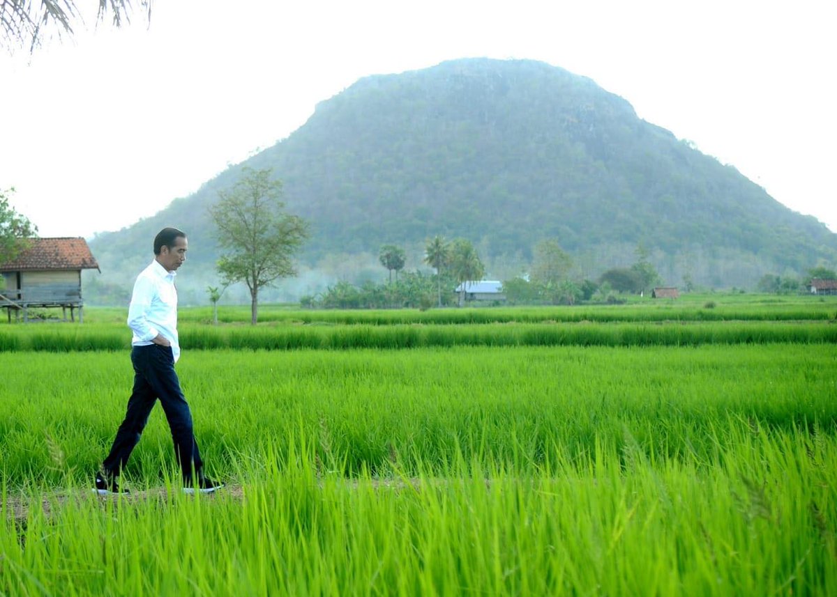 Saya baca berita bahwa masyarakat kita ini malas berjalan kaki. Jangankan jauh, agak dekat saja malas.Mau ke mal, cari parkirnya dekat pintu agar jalannya dekat. Iya kan?

Mumpung dekat Asian Games 2018, mari kita kumandangkan: biasakan jalan kaki yang sehat untuk masyarakat.