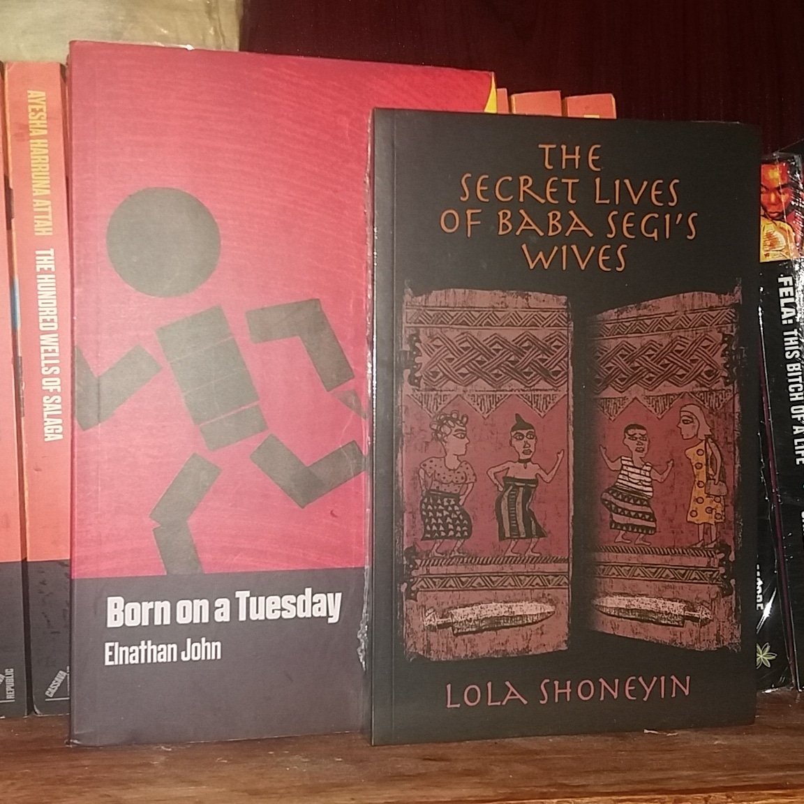 The Geography of China: Sacred and Historic Places (Understanding
