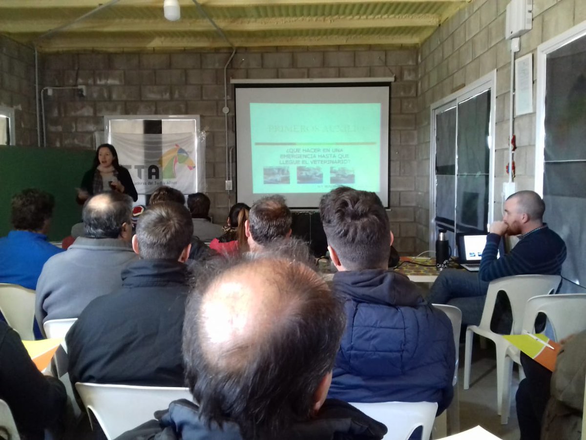 MinAgriCba's tweet photo. Primeros auxilios equinos y el herraje correcto, son los temas centrales que se dicatarán durante la mañana de hoy en la sede del Hipódromo "Oscar Boero", de #SanFrancisco 
Capacitación a cargo del área equina de la @SecGanaderia y la Agencia Zonal local. https://t.co/x0KPNMShye