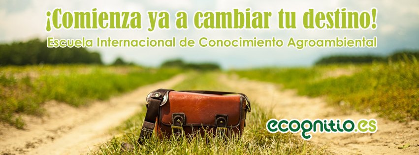 Ecognitio tweet media