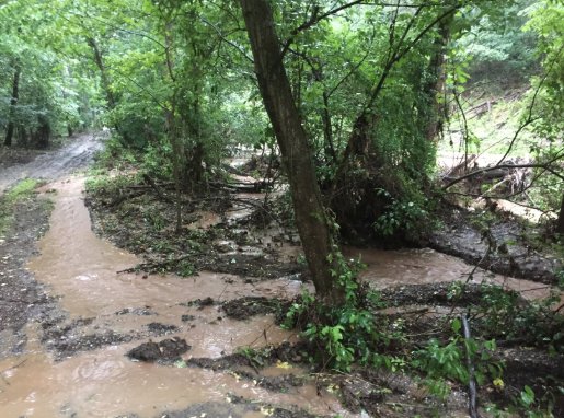 TroutUnlimited's tweet image. When the CEO of Trout Unlimited's stream flooded in West Virginia, he was reminded how important it is to restore waters carefully, with an eye toward making them healthier and more resilient to the next flood. bit.ly/2vh5SeF @cwoodtrout #MakeFishingGreatAgain