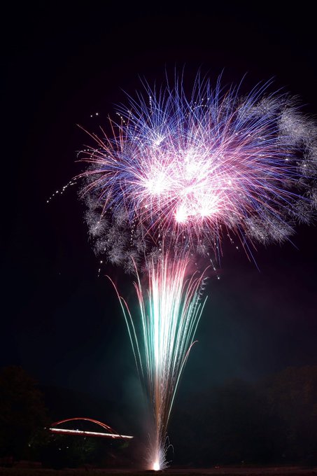 イエッタイガーのtwitterイラスト検索結果 古い順