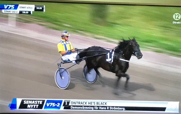V75anPod's tweet photo. Man måste älska rubriksättarna..... 😂 https://t.co/kFKdPlm2Kw