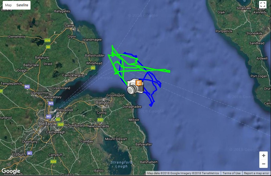 Tash Gillies tweet media