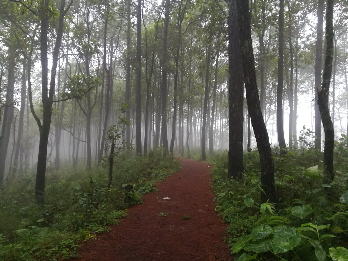 Binga_Harry's tweet photo. Thanks to Weather for Clearing Up :) Shantinagar Hill and Tower hike was worth memorable. #NepalNow #VisitNepal2020 #Palpa #Tansen https://t.co/W9PglQtWOX