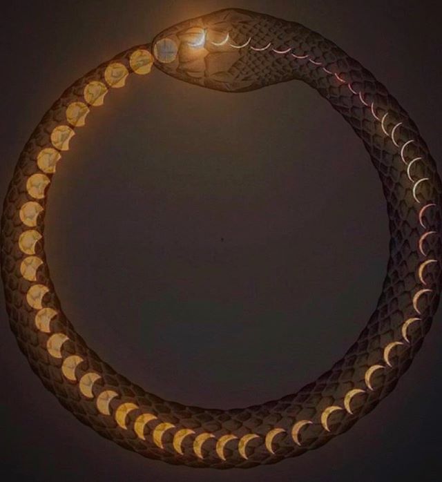 Souleye's tweet photo. Have a beautiful rebirth weekend....
#oroborus #mooncycle
#re-creatingself #infinitecycle #nature'sendlesscreation https://t.co/DWiWVYiSRB