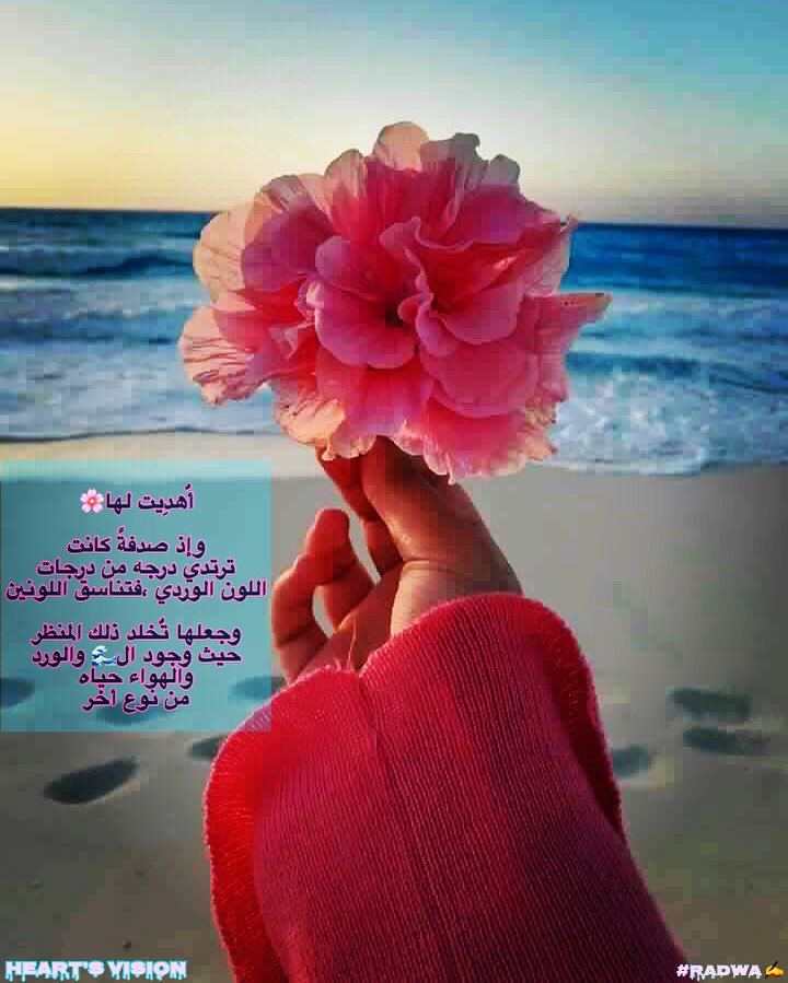 creat_vision's tweet photo. “just give me flowers and the sea “
#vision #passion #real_beauty #words #different_view #eyes #flowerslovers #magic_feeling #blue #sea #inspiration #creativity #another_perspective #pink #freshlook #fresh_air #writing https://t.co/o9PM8Ea4Tv