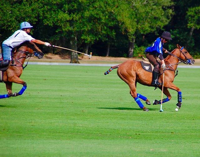 PoloSchoolMex's tweet photo. Catch me if you can! .
.
.
#polo #hookpolo #gallop #polopony #ukpolo #caballo #hongkongpolo #showmehowyoutrain #unitedkingdom #kingpowerpolo https://t.co/gnofC59sOO