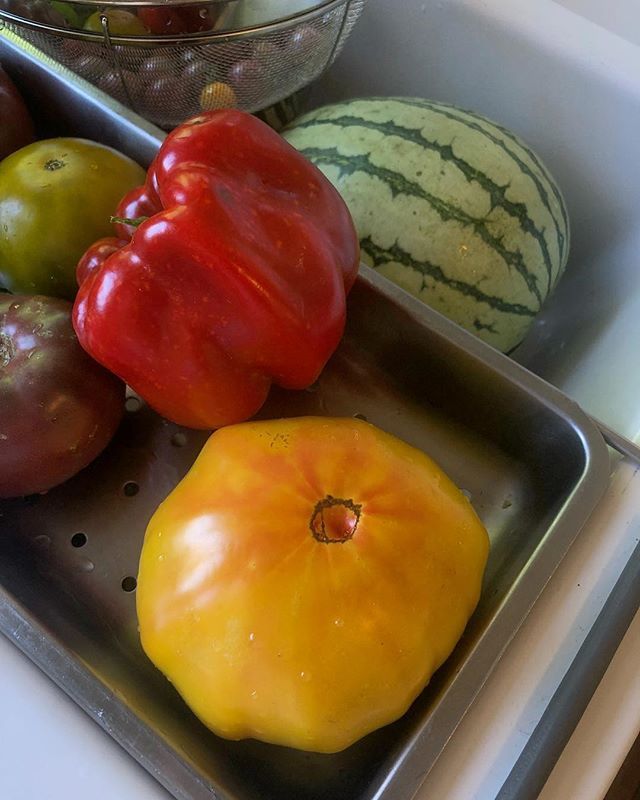 tscarlisle's tweet photo. Sometimes i buy tomatoes and in this case peppers like i buy wine:  by how much I like the label #farmersmarket #heirloomtomatoes https://t.co/GQEQ5oXlqd https://t.co/uV8iMx6yQ2
