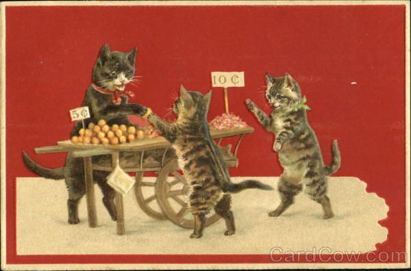 AnimalHouseCats's tweet photo. Special announcement! A very unique gift has just been contributed to our Evolutionary Match!

A kind donor has donated the proceeds from his estate sale to Animal House. He was able to collect a total of $2,300! How incredible is that?!?!

Thank you again, kind donor! https://t.co/GIufQRS2jQ