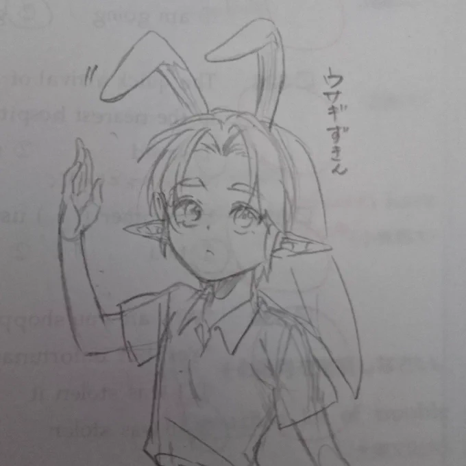 bunny 