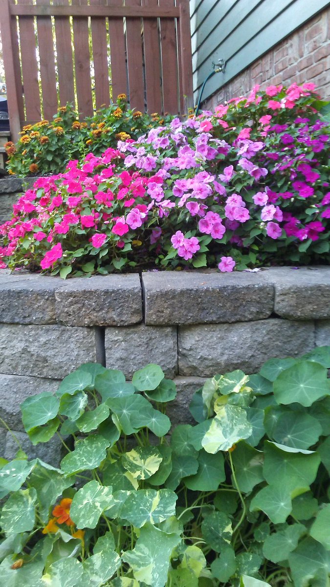 Just some flowers...