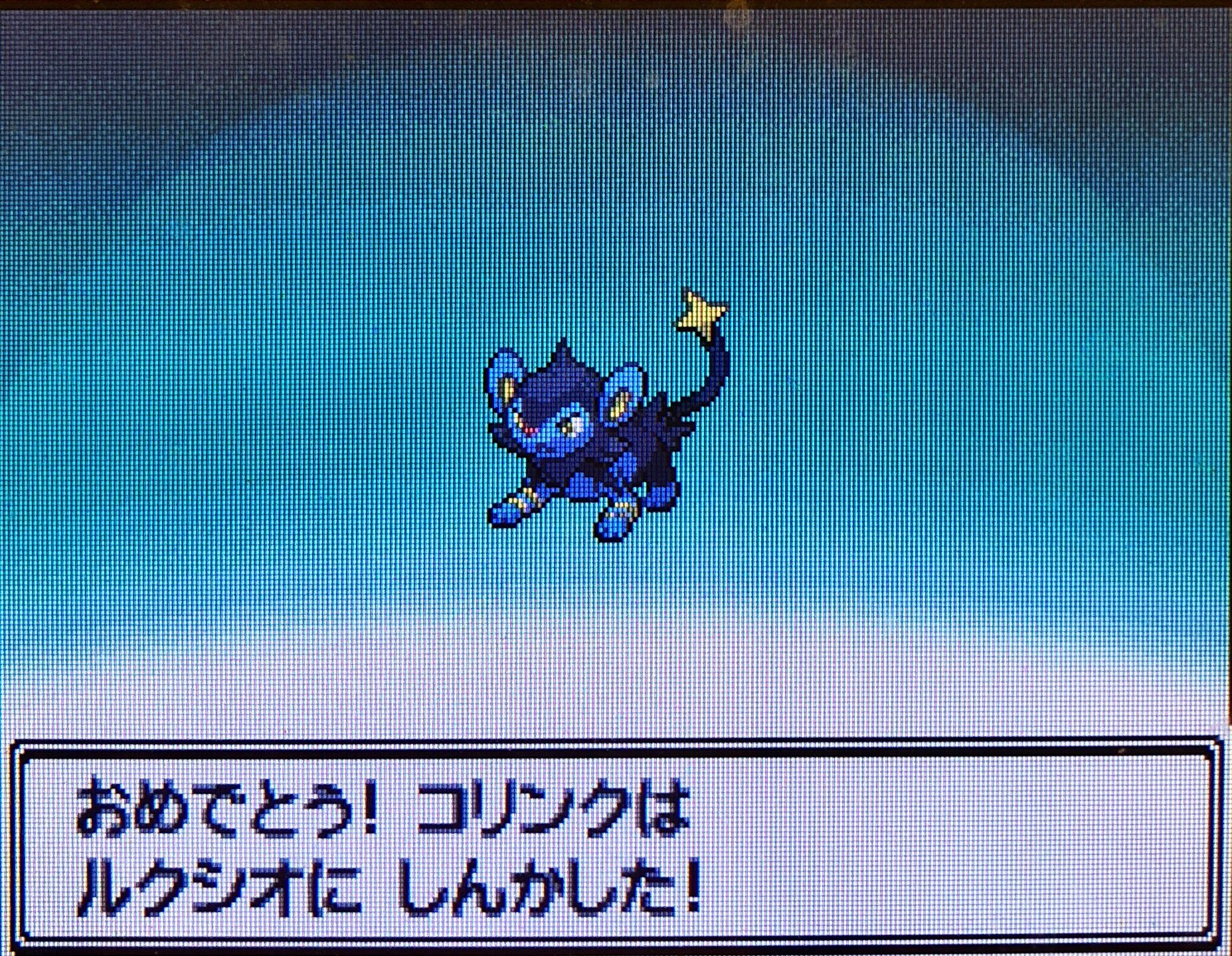 تويتر スラヨシ アンテ ポケダン空ネタバレしないでね على تويتر ギャラドスに進化 7種類 まずはピカチュウ 銀 アルファサファイア プラチナ T Co Pvihny68vj