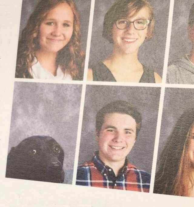 POLAND❤️ tweet media