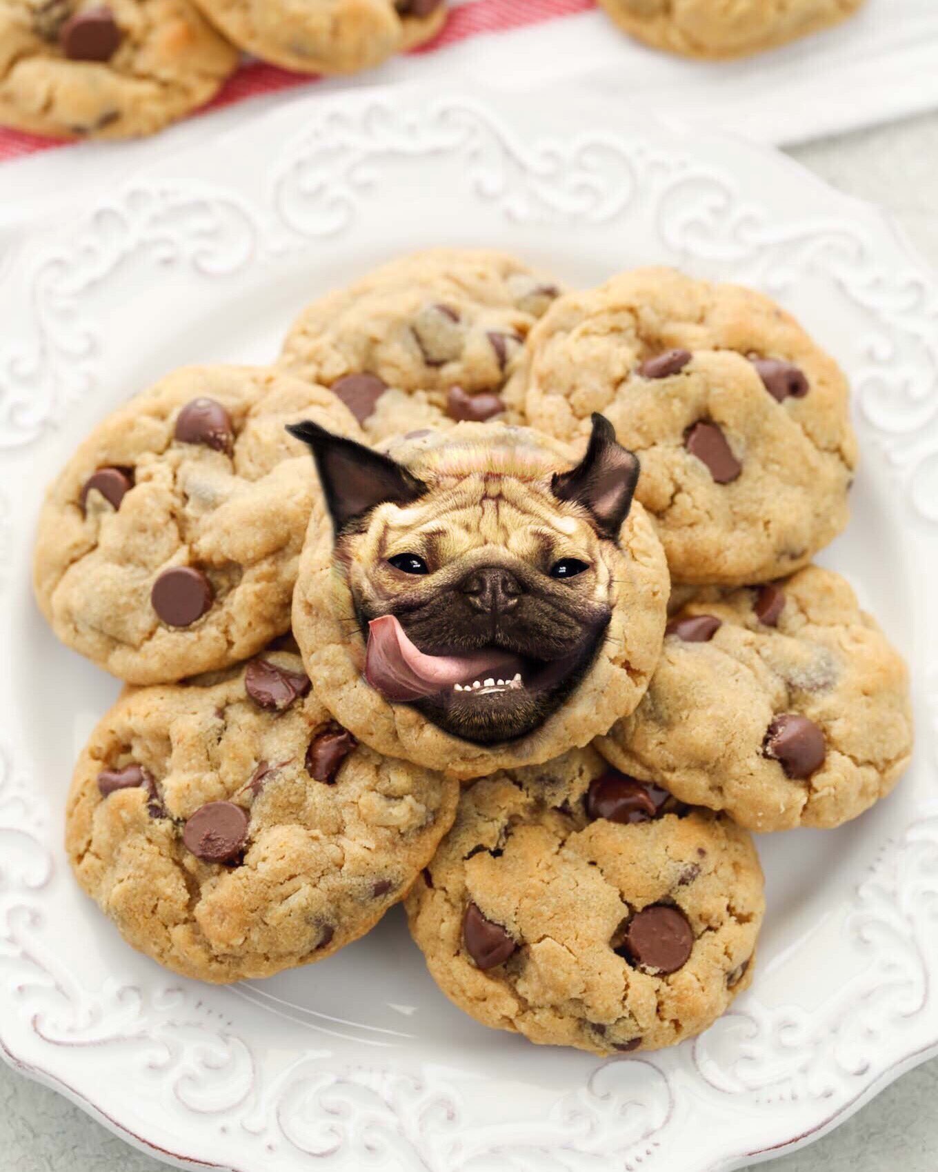doug cookie