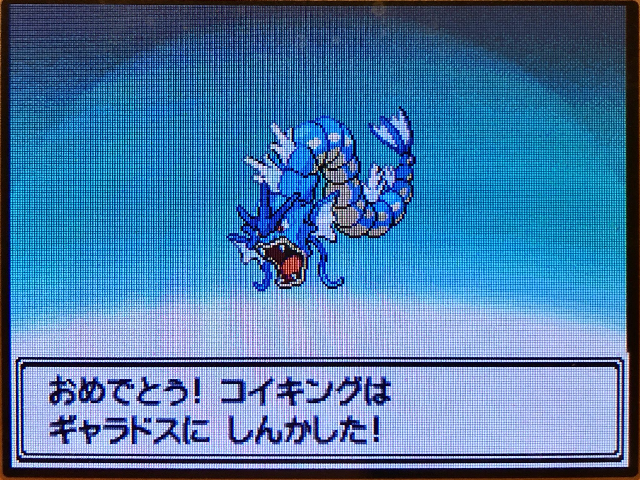 スラヨシ ポケダン空のネタバレしないでね Twitterissa ギャラドスに進化 7種類 まずはピカチュウ 銀 アルファサファイア プラチナ T Co Pvihny68vj Twitter