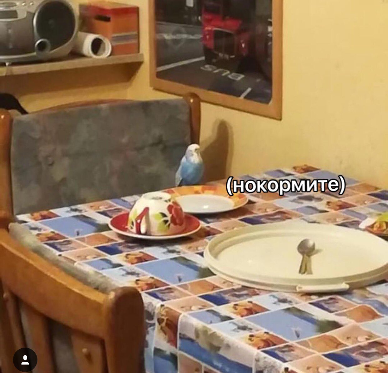 DjxKK2nW4AMJokZ?format=jpg&name=large