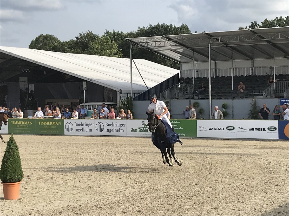 CsiOmmen's tweet image. Michael Greeve sterke winnaar van Nijwa Trophy! @CsiOmmen #CSIOmmen