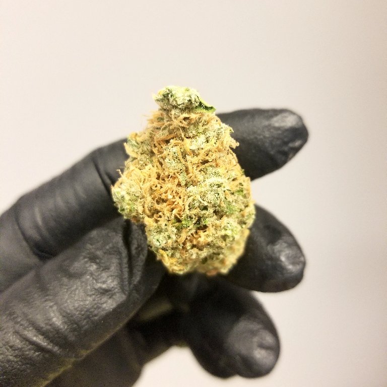 Saturdays are extra lit with #PineappleExpress! 🍍🚂
.
.
.
#azmmj #azmarijuana #prop203 #420az #getlifted #hightimes #medicalmarijuana  #cannabisculture #tempe #scottsdale #arizona #asu #weekendfun #weekend #saturday