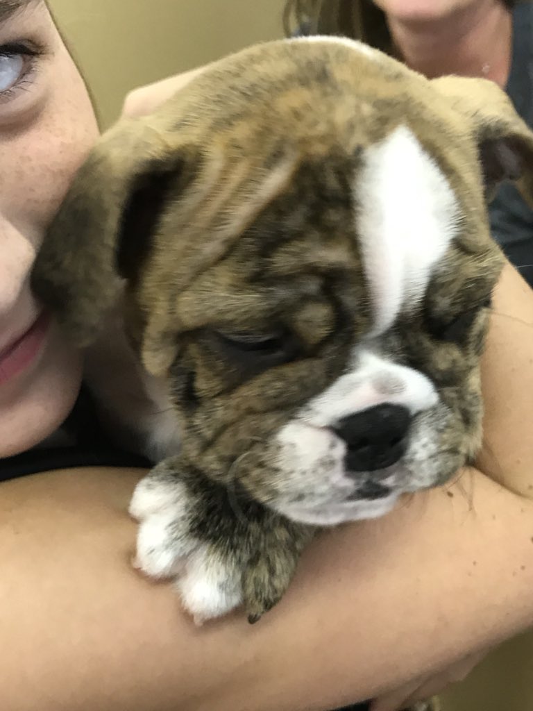 Robyn McCormack (@robyn_wynnette) | Twitter