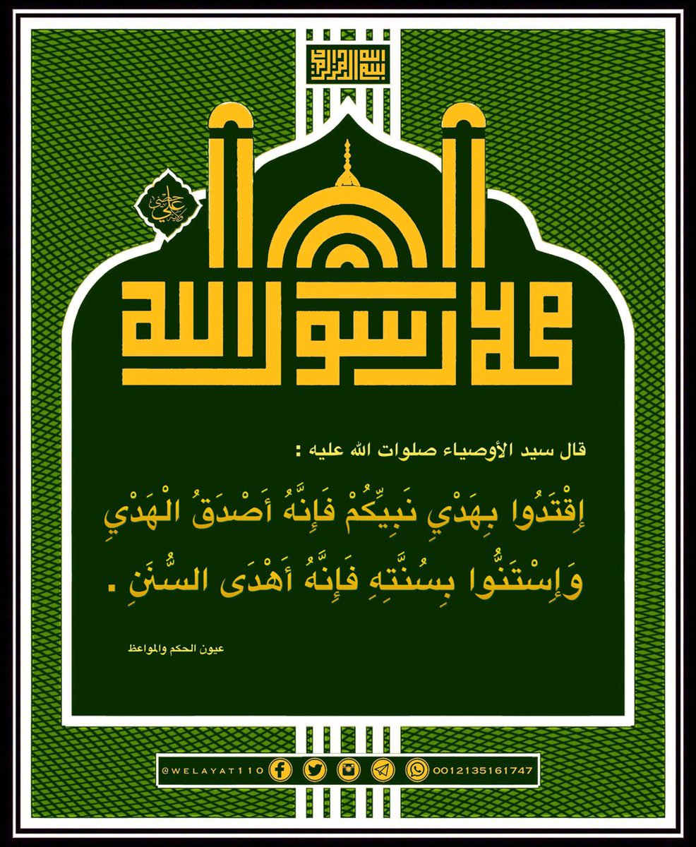 ولاية علي tweet media