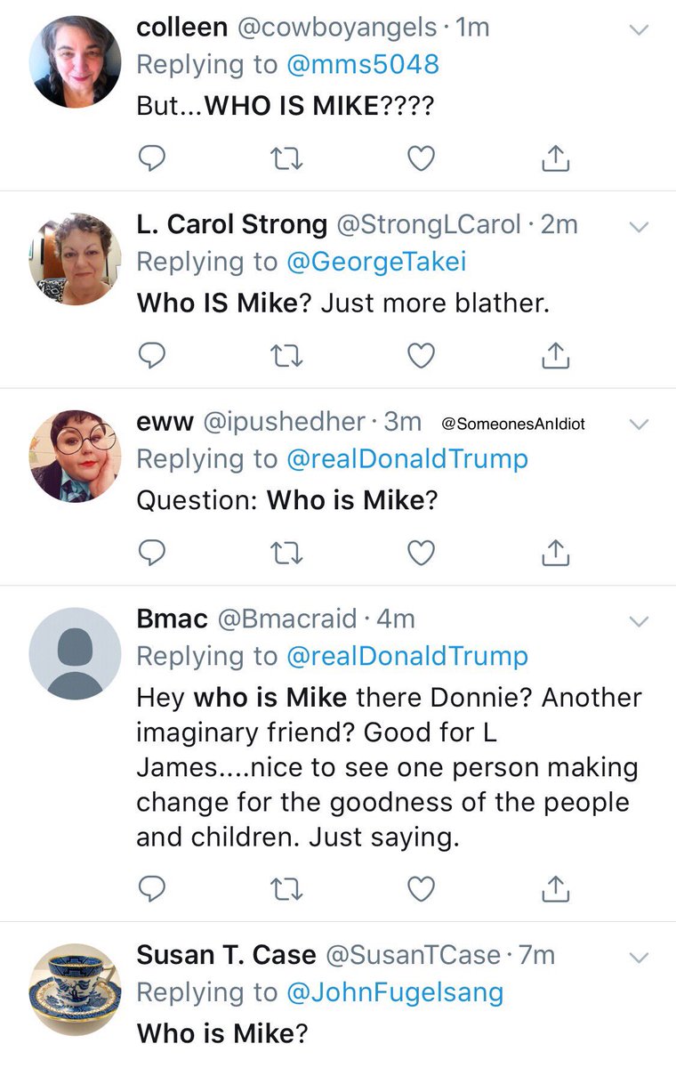 SomeonesAnIdiot's tweet photo. President Trump tweeted “I like Mike” at the end of his LeBron tweet and numerous blue checks and people somehow had no idea who he was referring to https://t.co/uZ72BFke2D