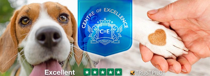 Save up to 96% on Six of COE's Best-Selling Courses of the Summer! #VancouverIsland

View Courses: IDD.Sale/CentreOfExcell…