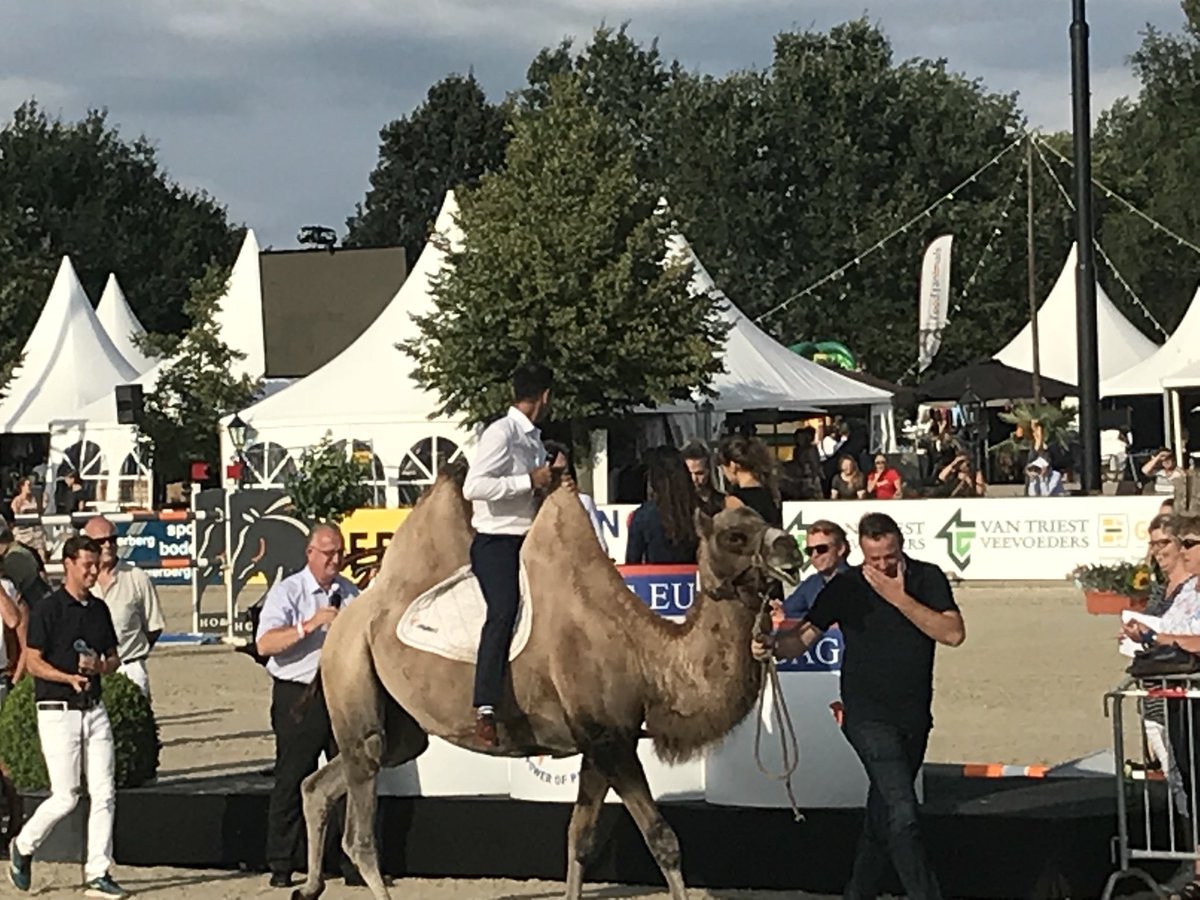 CsiOmmen's tweet image. De veilingmeester Ernesto Canseco Olvera is binnen en dus kan de #veulenveiling beginnen! @CsiOmmen #CSIOmmen