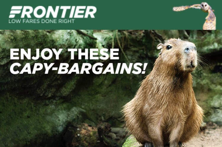 Well played <a href="/FlyFrontier/">Frontier Airlines</a>!  😂😂😂