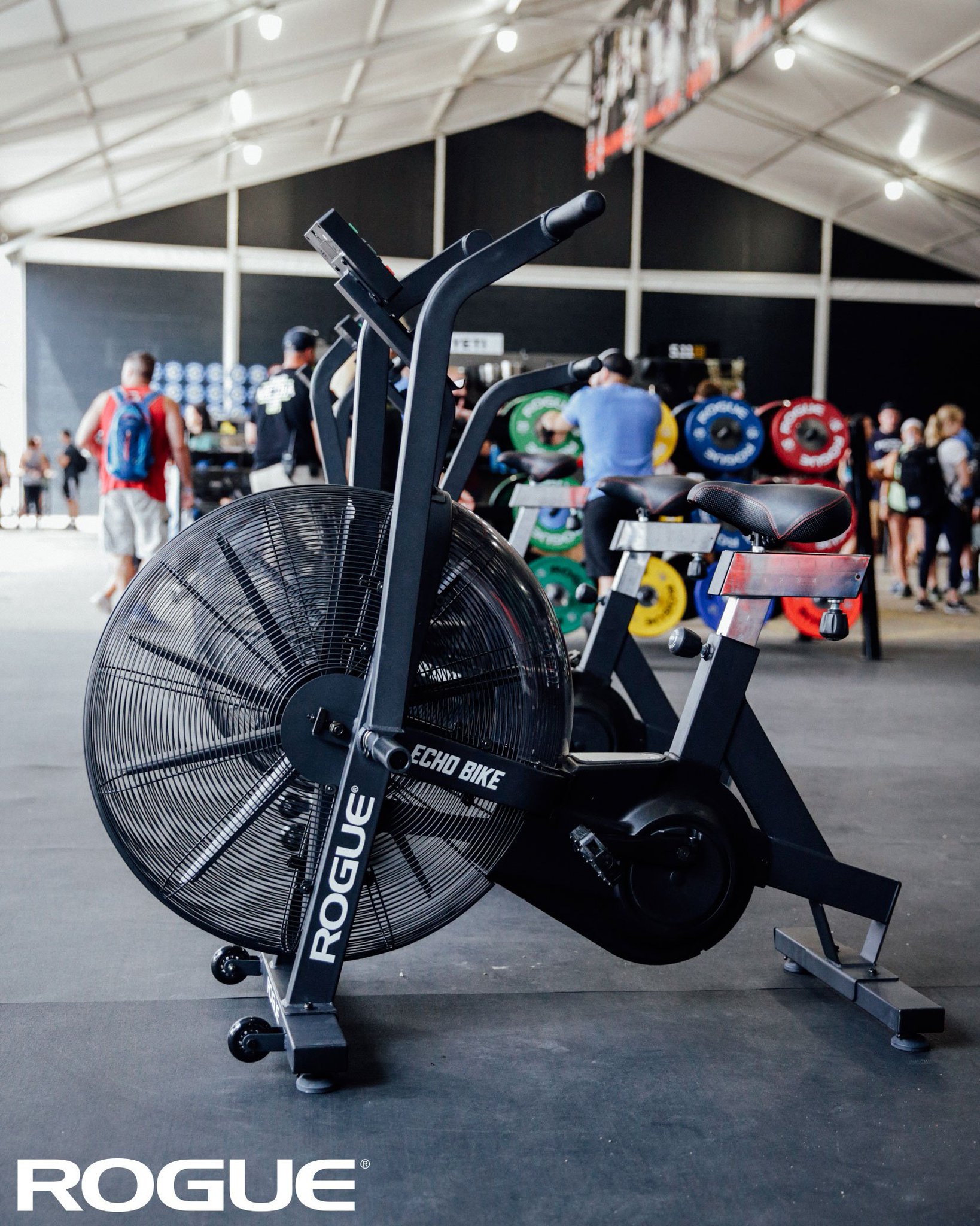 rogue echo bike coupon