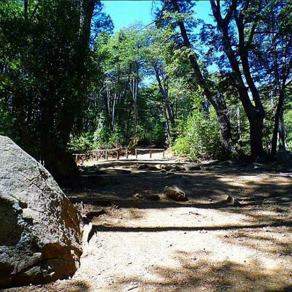 multiphone's tweet image. San Clemente- Vilches Alto -Región del Maule - Sur de Chile 🇨🇱❤
Foto de: @marivelafl

#Multiphone #Chile #Chilenos #ChilenosEnUSA #ChilenosEnEstadosUnidos