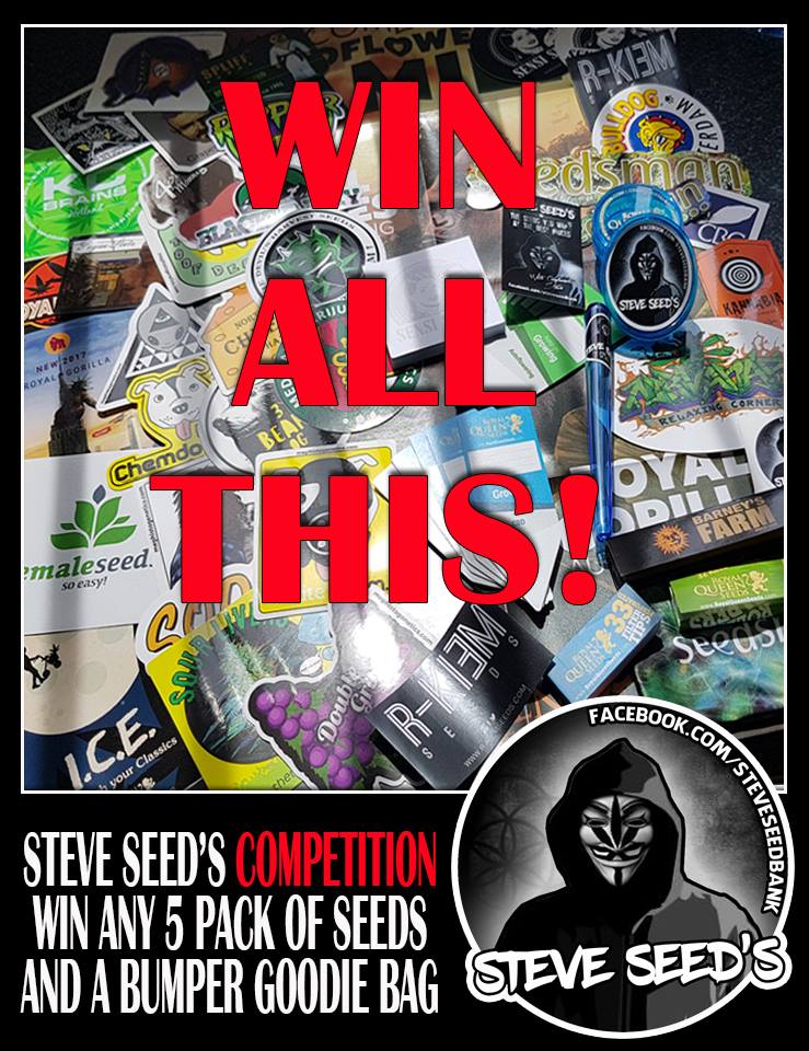 Steve Seeds Steveseeds Twitter