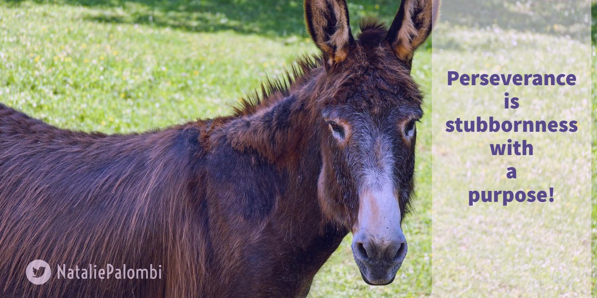 natalierfields's tweet image. Persevere. Never give up. Always keep striving for your goals! #inspiration #motivation #10X #ThinkBIGSundayWithMarsha