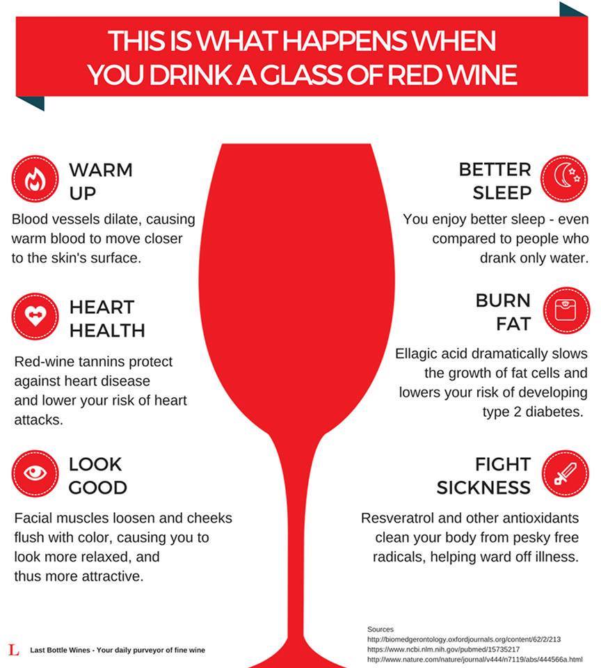 ReverseWineSnob's tweet photo. Did you know? 
#wine #winelover https://t.co/PmXP8PNV7f