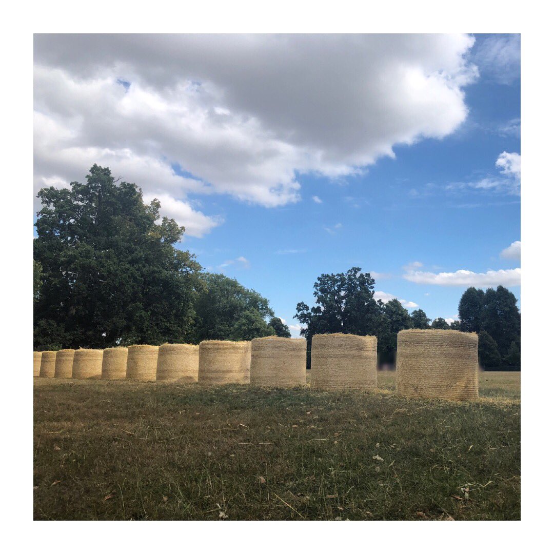 The Snapper Shack tweet media