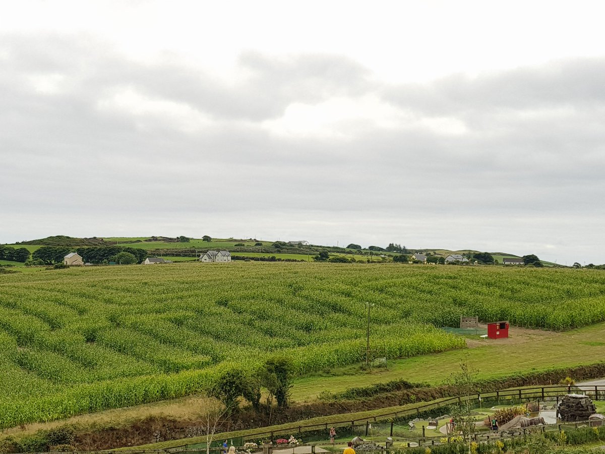 redactash's tweet image. Went to @RosscarberyGolf today &amp;amp; had the greatest day there, we discovered @Apothacary has a much better sense of direction than me, but I'm better at figuring out shapes in a corn field &amp;amp; mini golf #HoleInOne #CompetitiveFun #WestCork #Cork #TryIt #BestMiniGolf #MaizeMaze #Maze