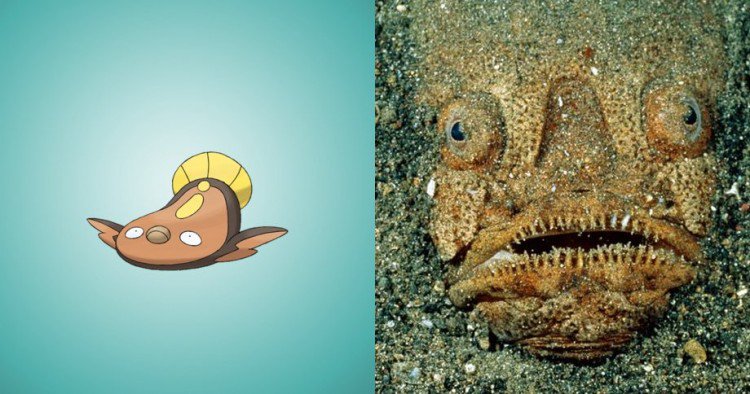 XForverBeMinexx's tweet image. 😂😂😂 #pokemonhumor