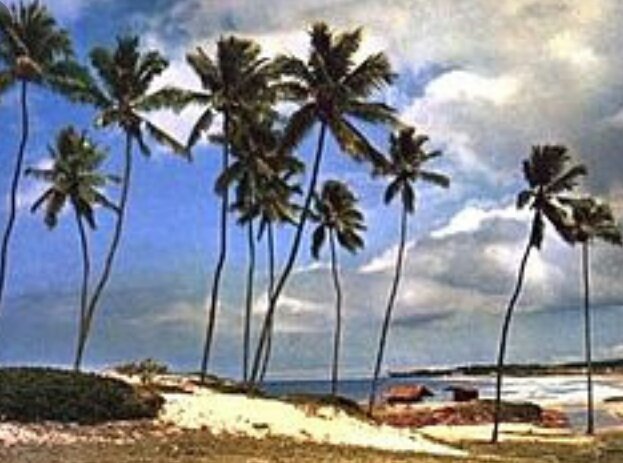 I'm at Praia De Piatã in Salvador, BA w/ <a href="/oliva_telma/">Telma Beta Lab# me segue q sigo de volta#</a> <a href="/sararsrs/">🇾🇪 𝙍𝙪𝙞𝙫𝙖 𝙋𝙖𝙣𝙙𝙖 🐼💗#MFSDV♈ ♏</a> <a href="/lfrana4/">Leide beta quer labe me sigam que eu sigo de volta</a> <a href="/michaels2jp/">Maicon#ParceirosBeta</a> <a href="/douglas0000cind/">Douglas #TIMBETA</a> <a href="/jocildoi/">Jocildo Iglesias Freire</a> @marcosd22209137 <a href="/geovaniomacedo/">geovani Guimarães</a> <a href="/jesseefernanda/">JESSÉ TIM BETA</a> swarmapp.com/c/jObSRYKcxTM