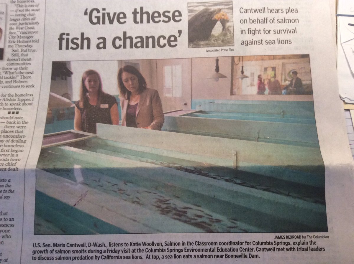 FreeChoiceLab's tweet image. Katie Woollven, OSU grad and FCL alum on the front page of @thecolumbian today!