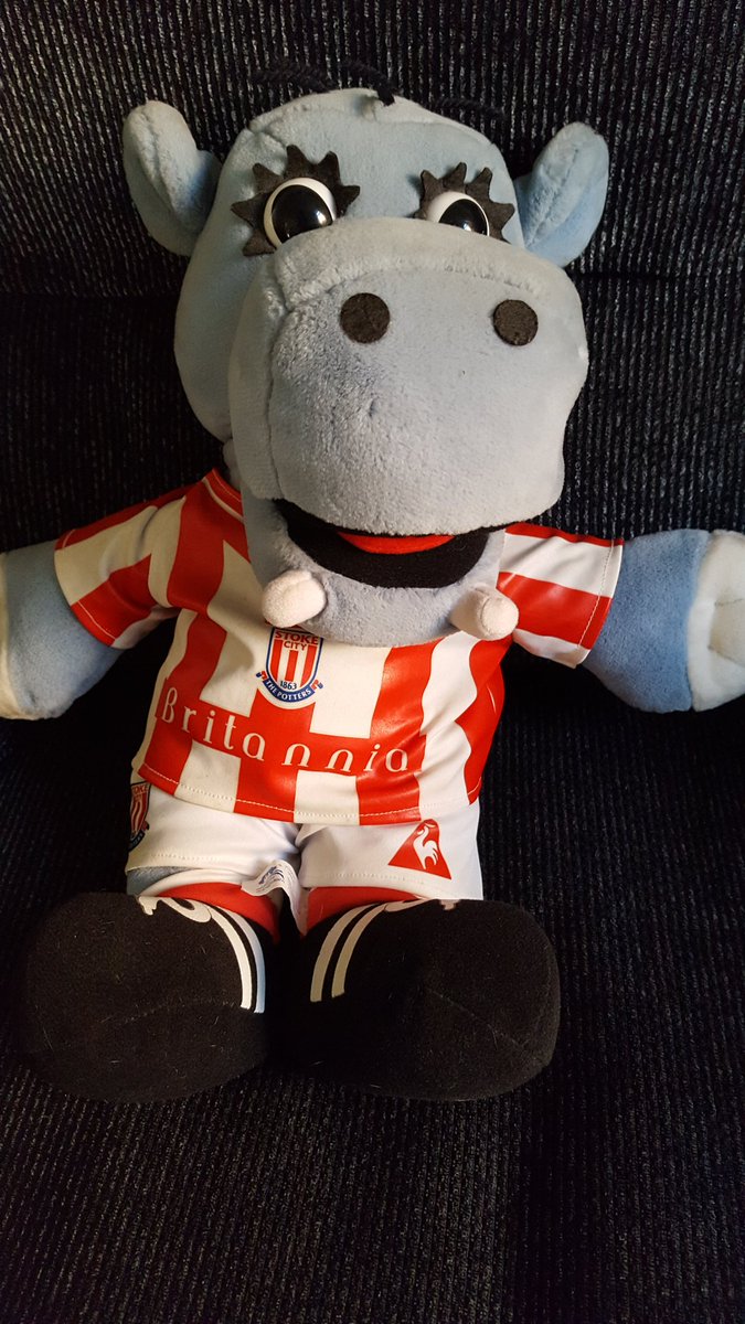 El_Loco_Jo's tweet photo. Tomorrow this guy will be joining me at Elland Road (in the Kop) in memory of a dear, dear friend I lost 2 years ago. We never got to go to a Leeds v Stoke game together so this is the next best thing. Gone but never forgotten Martyn. #LUFC #SCFC #Potamus #GoneTooSoon https://t.co/ExzucArqAu